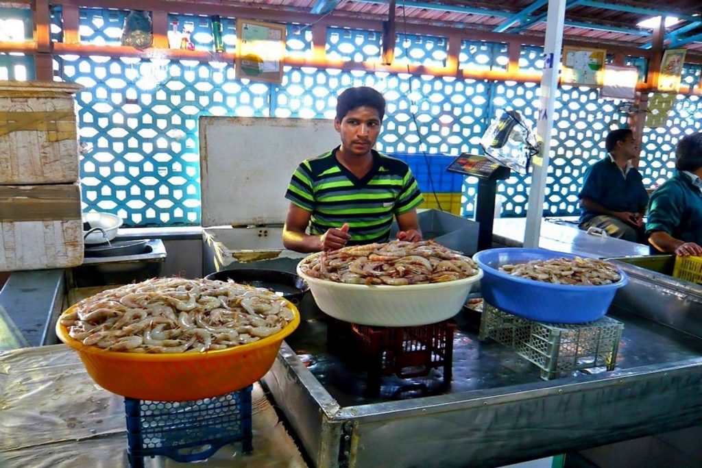 бендер-аббас2