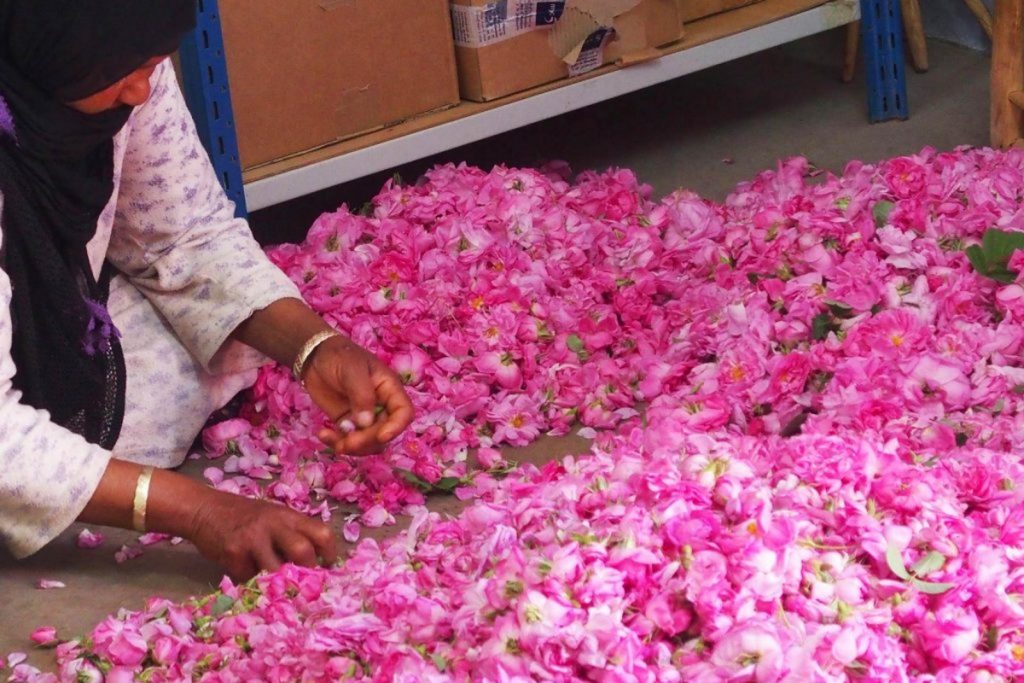 CREATOR: gd-jpeg v1.0 (using IJG JPEG v62), quality = 82